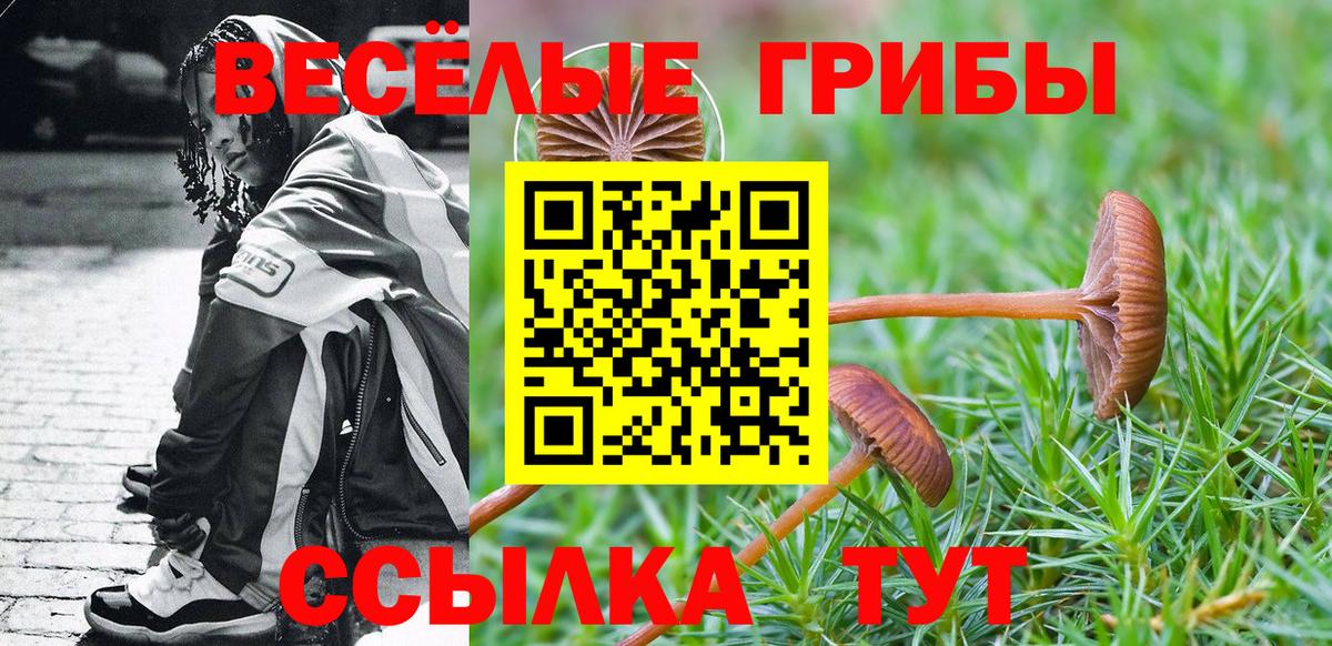 Галлюциногенные грибы Psilocybine cubensis  Вход с VPN  Калининград 