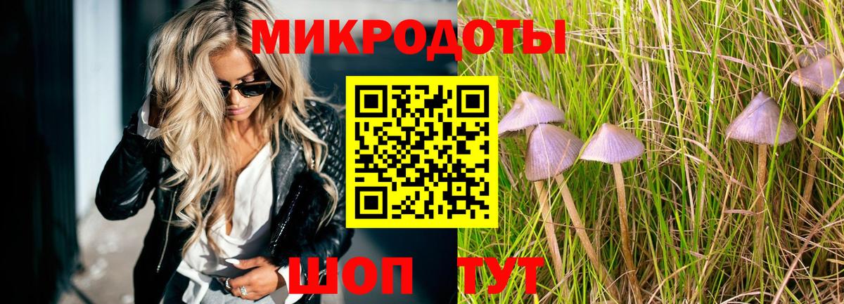 Галлюциногенные грибы GOLDEN TEACHER Калининград